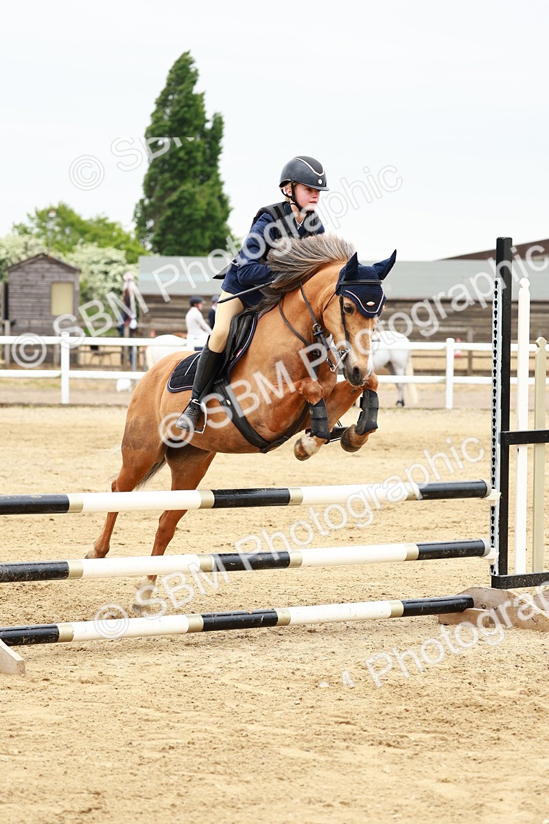 SBM_009103 - Class 5 - 80cm