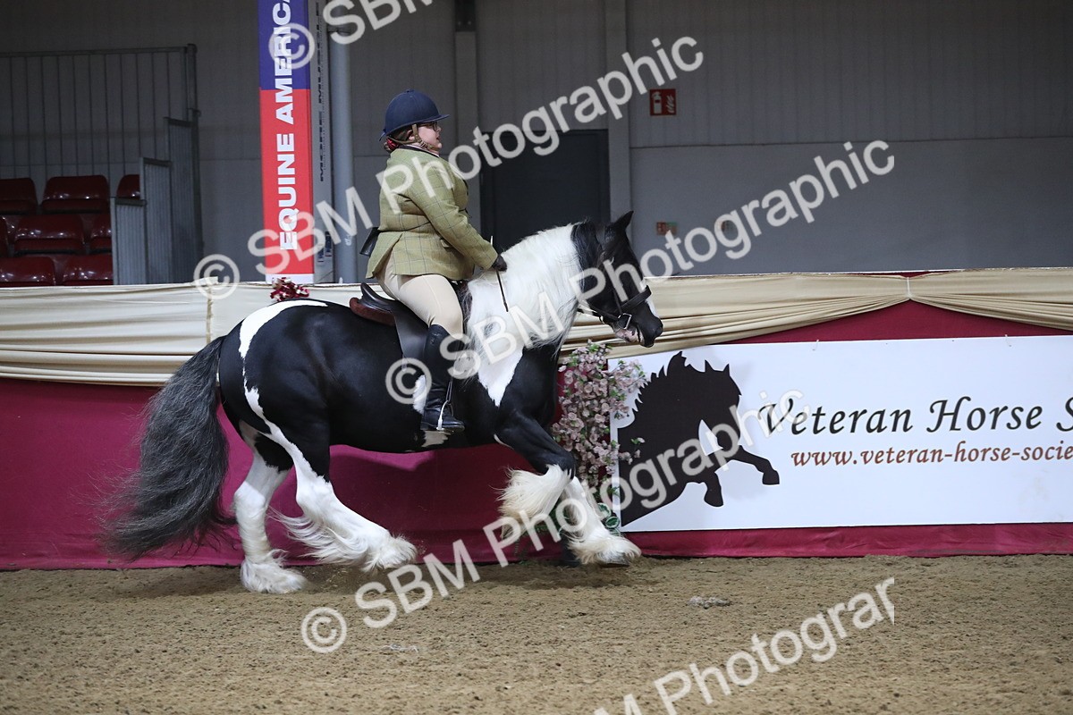 SBM_10356 - Class 102 Equitation (best rider) Adult
