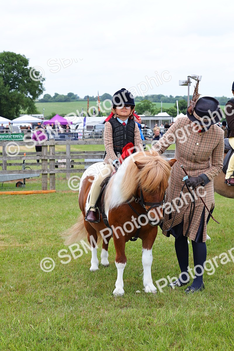 SBM_08409 - Class 42-43 - LIHS BSPS Heritage Working Sports Pony