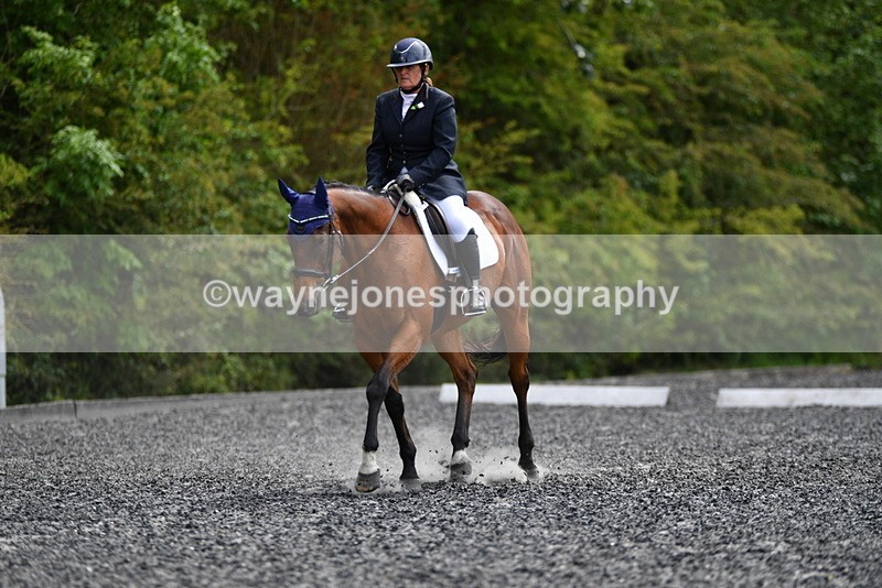 WJ5_1642 - Time 14:20 to 15:01