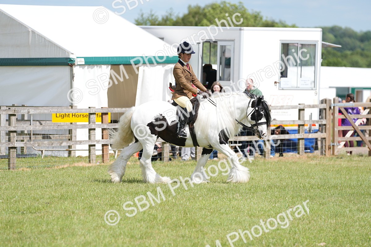 SBM_17248 - Class 107-108 - LIHS BSPS Performance Coloured Horse Pony