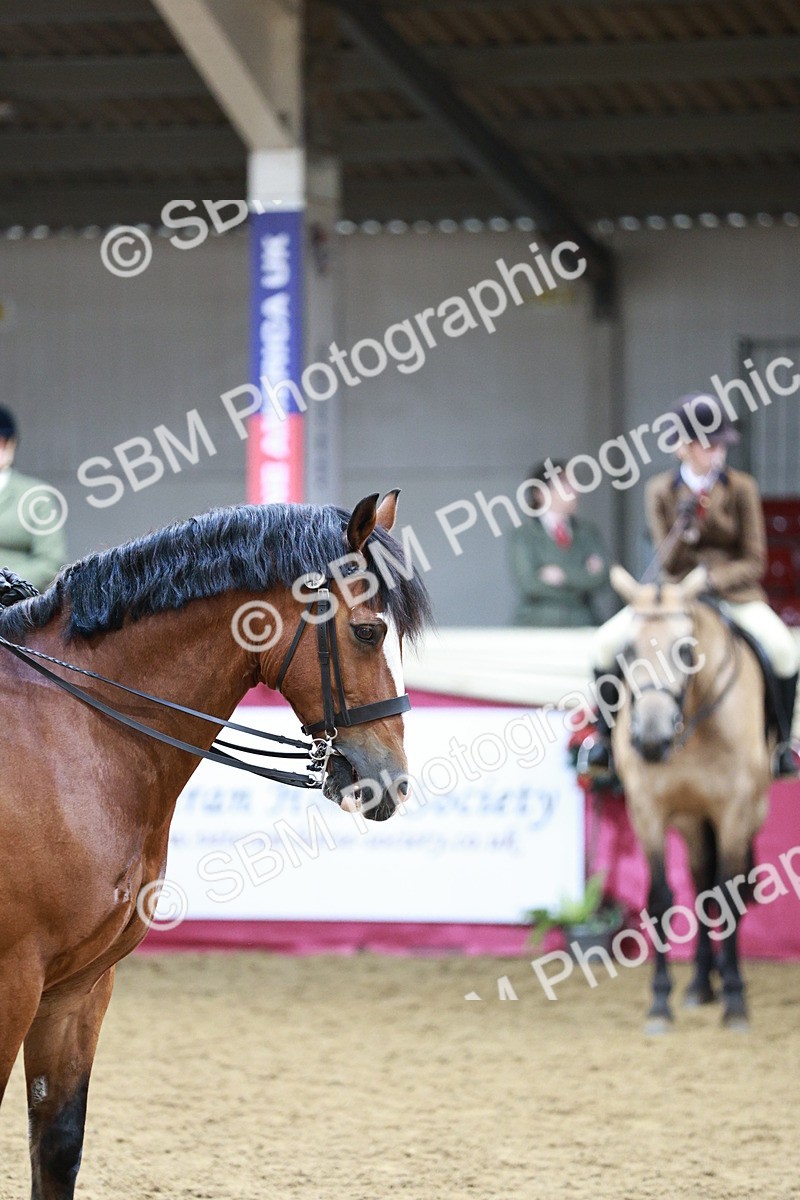 SBM_03604 - Class 6A Area Ridden Pre-Vet