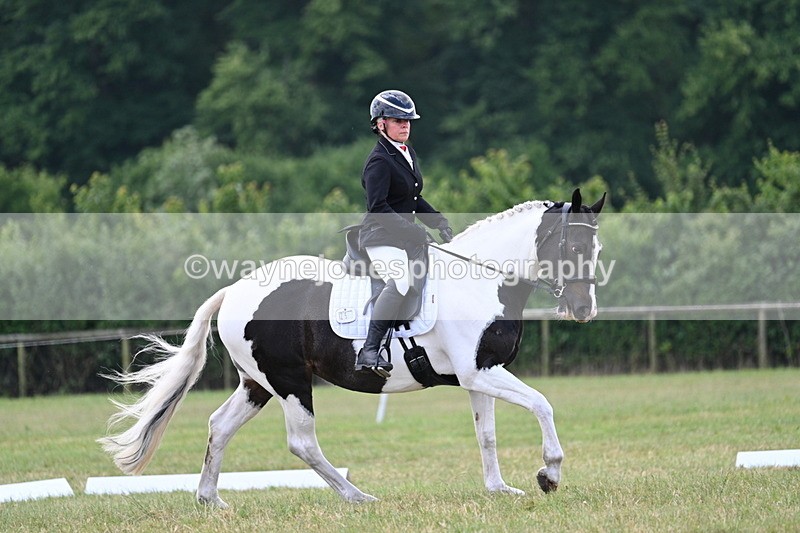 WJ7_5252 - Time 11:22 to 11:51