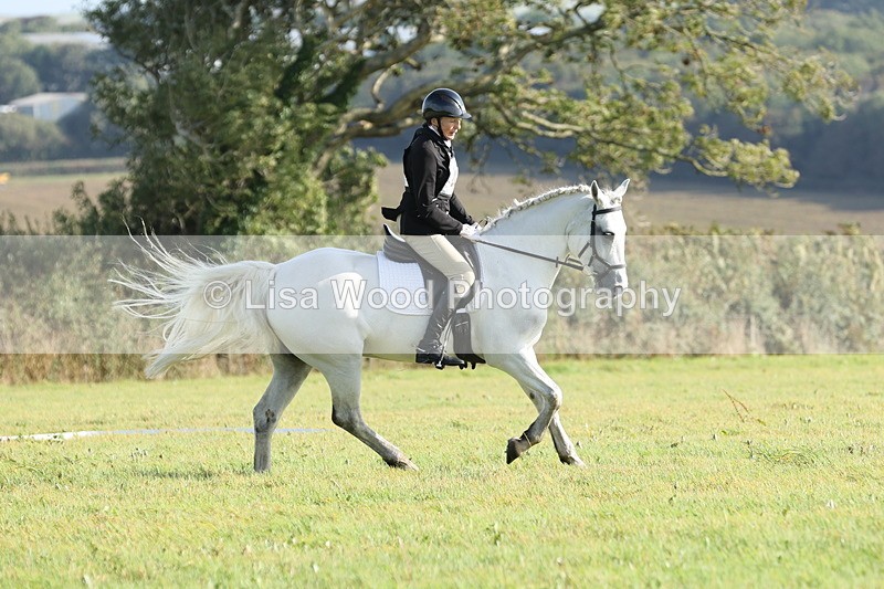 JPP_7907 - Class 2A: Trekenning Open: Dressage
