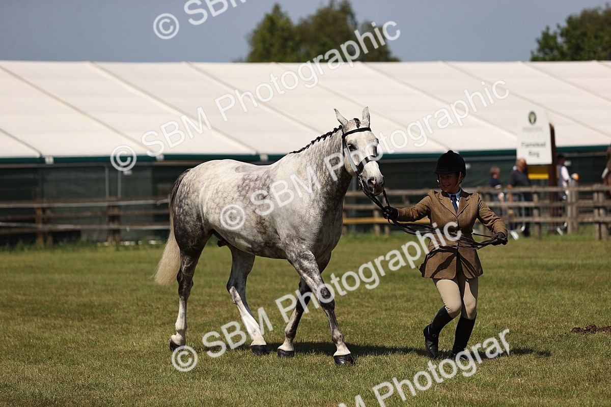 SBM_17767 - Class 81-83 - TSR Ridden Amateur of the Year - Horses