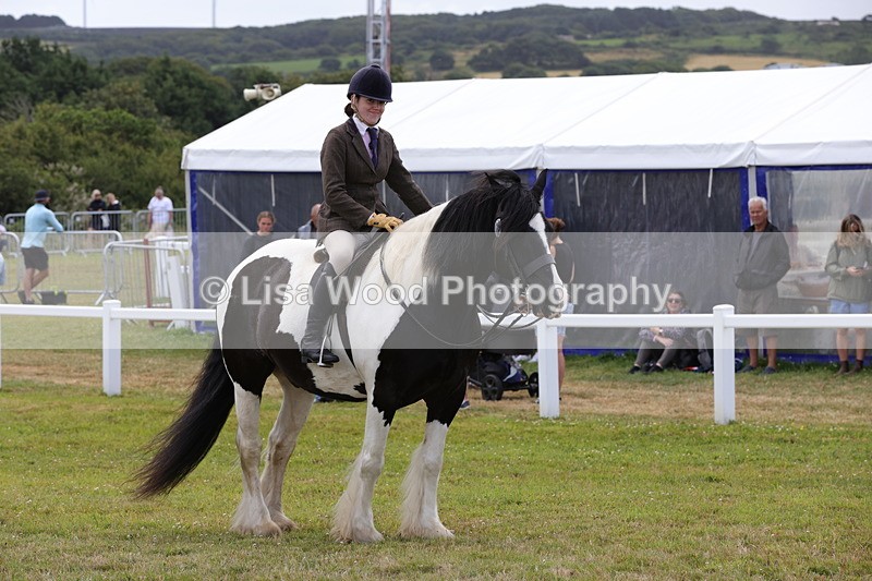 1X9A4517 - Class 34: Veteran Ridden