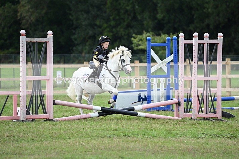 WJ6_0114 - 40cm Time 10:00 to 10:28