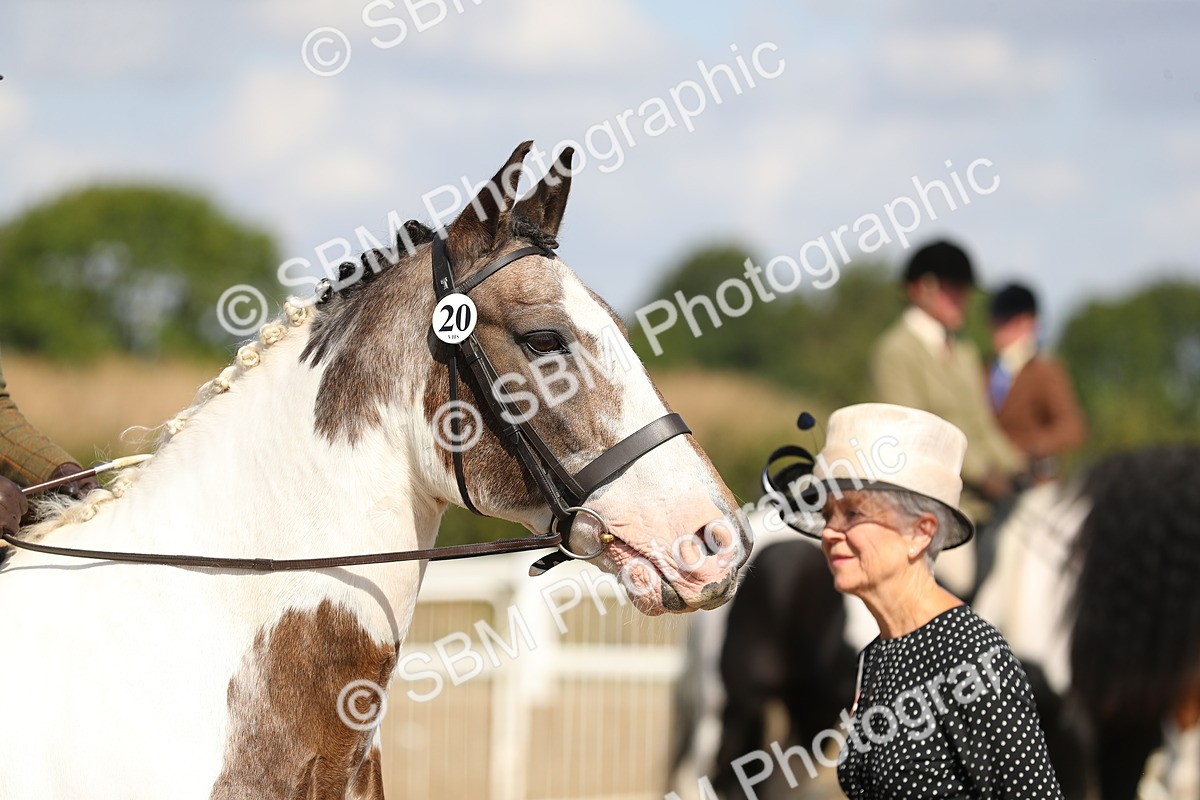 SBM_03214 - Class 44 Riding Club Horse/ Pony