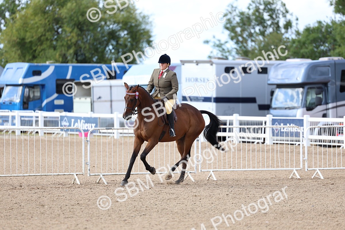 SBM_09161 - Class 303 - Ridden Pure Bred Horse Pony