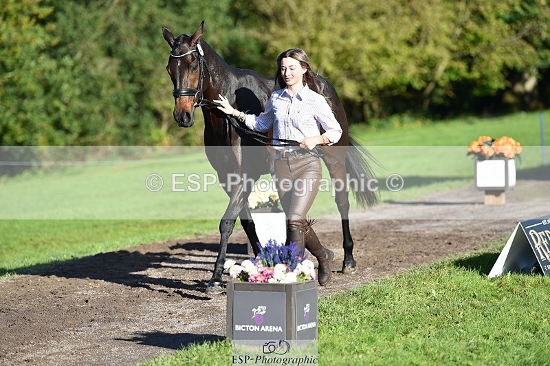 231022-102504-22462 - 435-TIMASSINI-Lana.Bennett-TrotUp+SJ