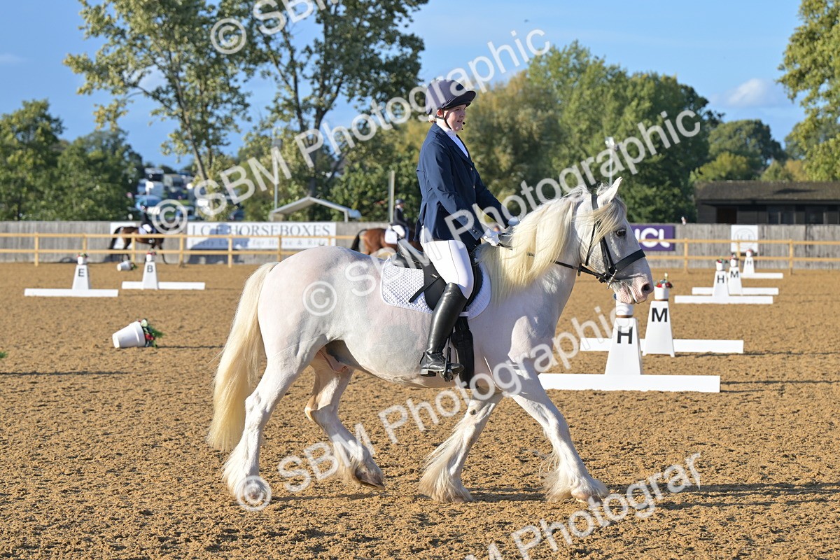 SBM_13173 - D3 - Small Tour Championship Intro 3