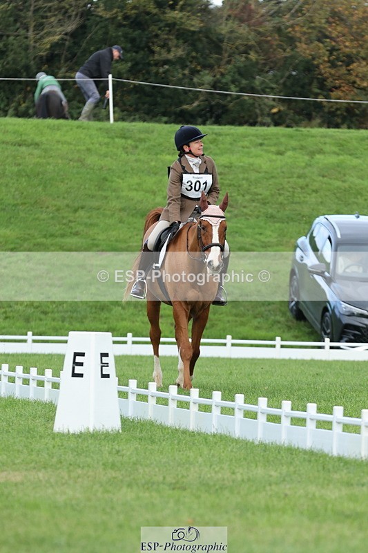 251023A-100155-03010 - D-301-Alison.Stewart