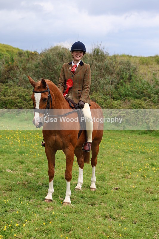 3E7A2136 - Class 11: Ridden Arab