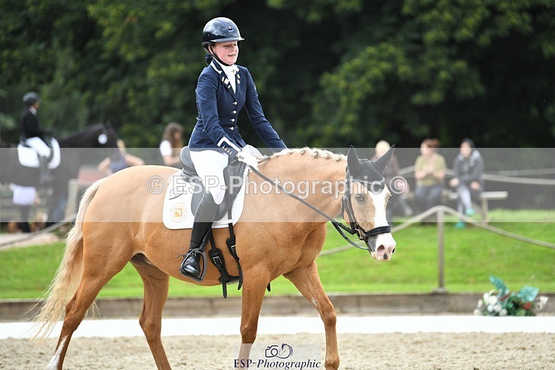 230812-124305-04198 - Cls 6 Novice Silver 12.10 to End