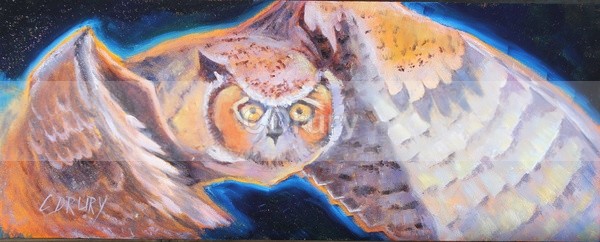 Night Owl SOLD - Archived