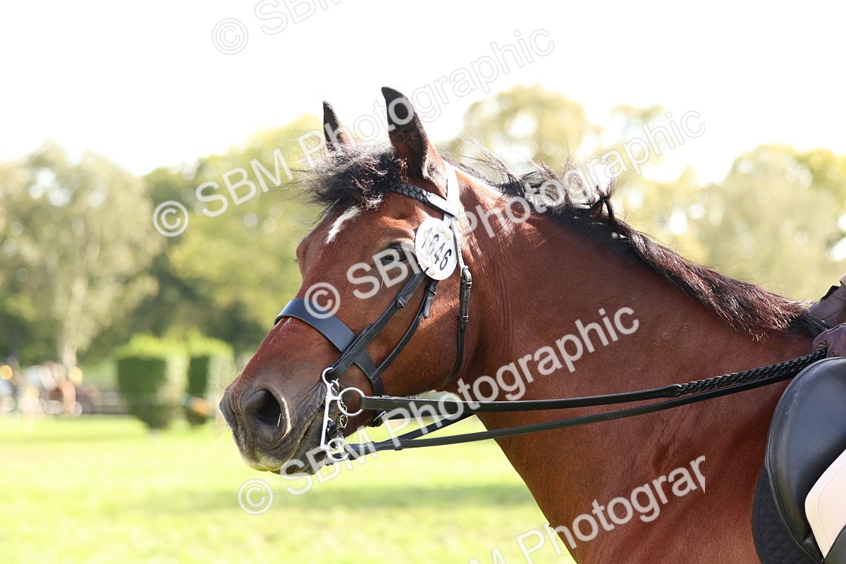 SBM_47807 - S28 - Veteran Ridden