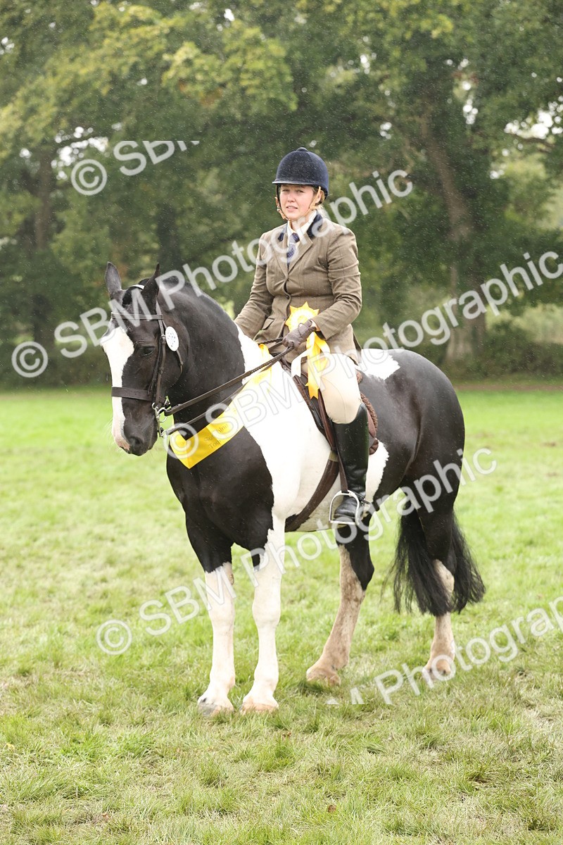 SBM_69862 - S69 - Show Cob Ridden