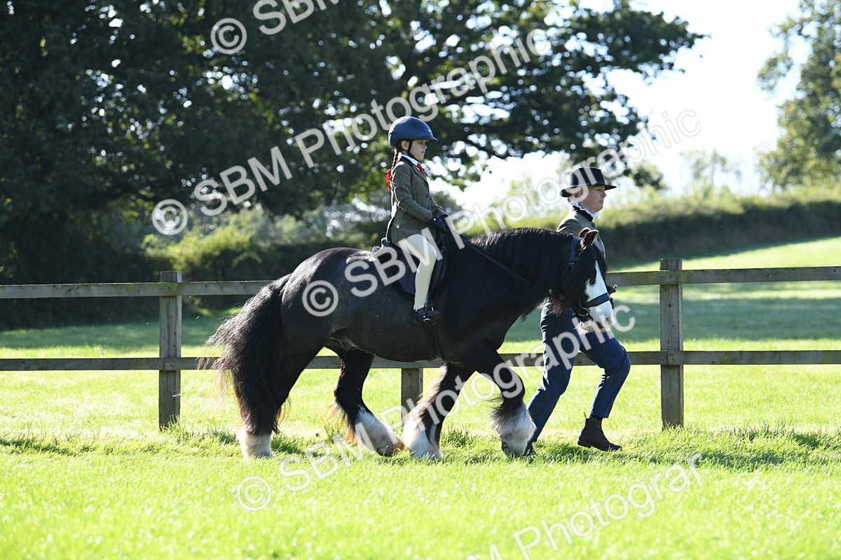 SBM_36722 - S18 - Novice & Newcomers Lead Rein Pony
