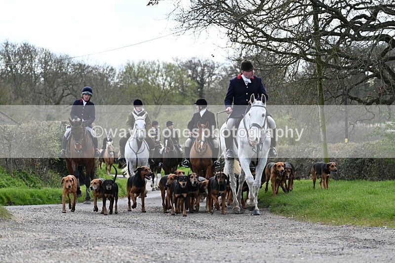 WJ7_9793 - Walk Home