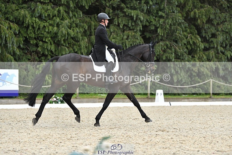 230525-141347-03117 - 319-RINGFORT_REVE_DU_MOULIN-Andrew_Downes-WEDTrotUp+DR