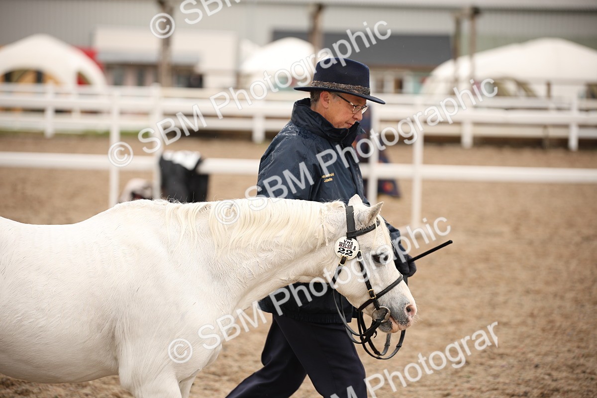 SBM_20722 - Class 705 - IH  Combination 65+