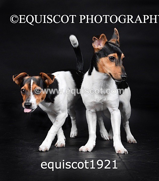 equiscot1921 - MARIS & CHIP