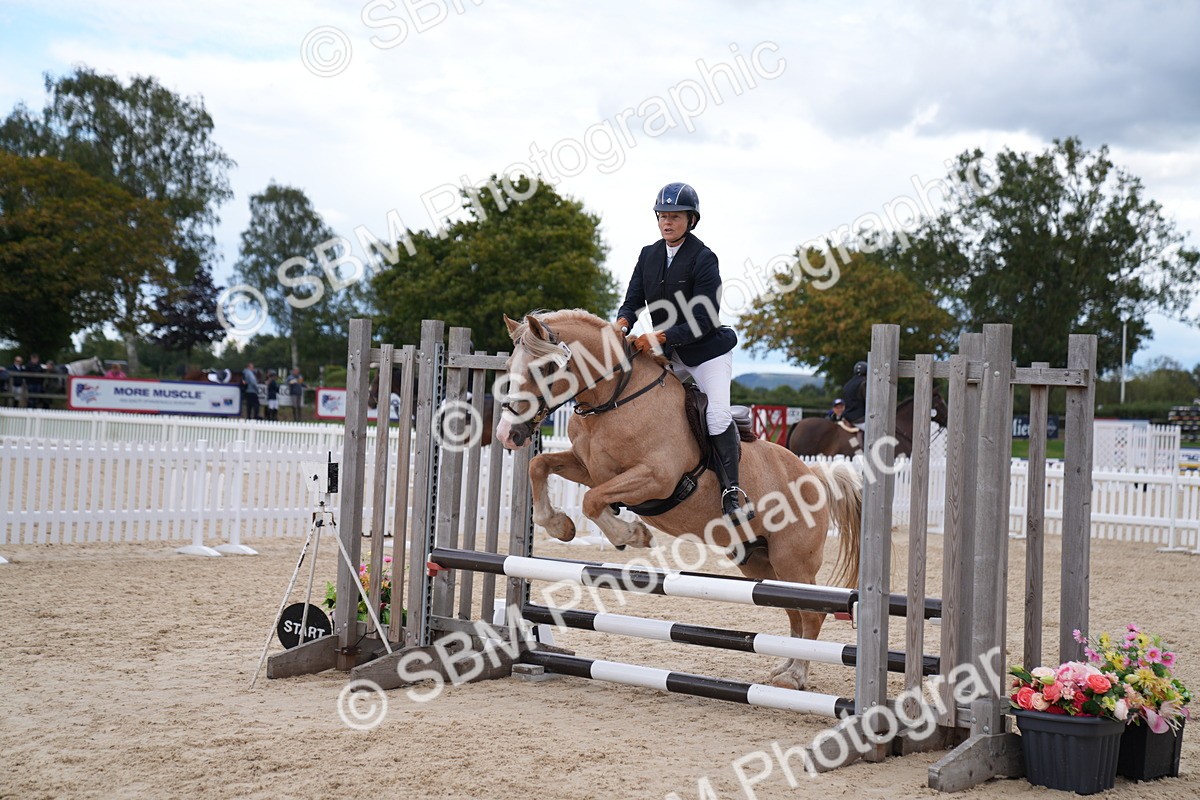 SBM_09196 - J36 Veteran 70cm Championship