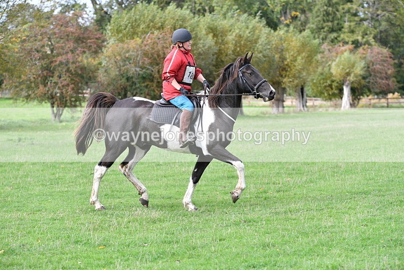 WJ5_9893 - Time 13:25 to 13:58