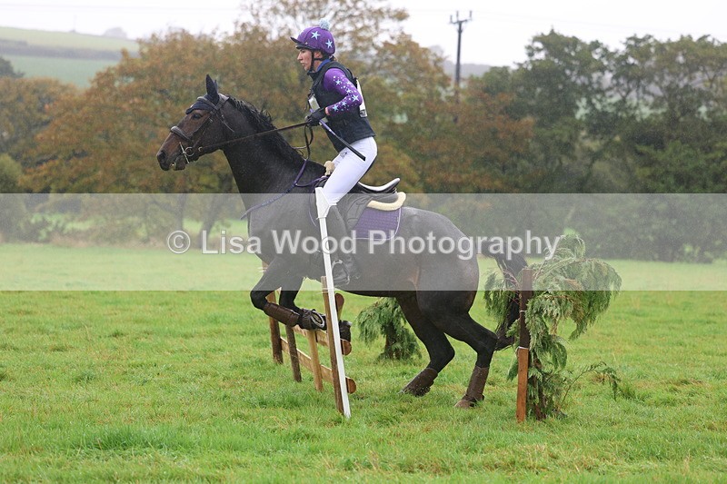 3E7A0950 - Class 1: 65cm: Rails