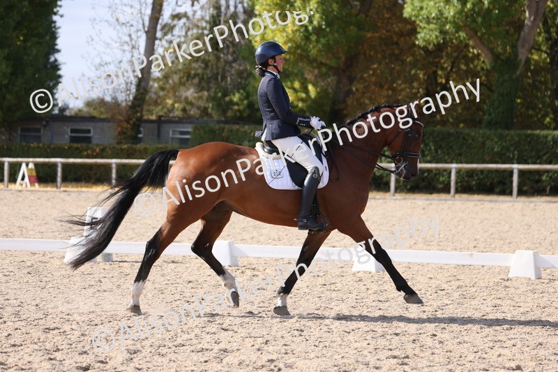 20250820-1610 - Class 21 - Advanced Medium 5