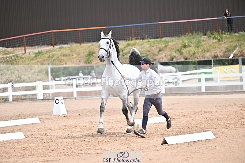 250716-132333-00480 - Trot Up 12.30 to 1.30