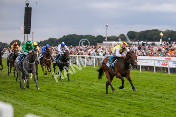 280723-Race 7-Knebworth-3015 - Race 7 8.20pm Sky Bet Go-Racing-In-Yorkshire Summer Festival Handicap