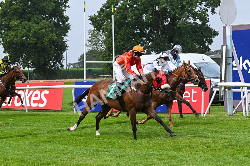 250725-Graham Lee IJF Stable Staff Stakes-E-3892 - The Graham Lee IJF Fund Stable Staff Stakes