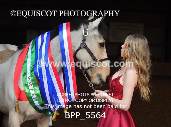 BPP_5564 - Marion West pony 1