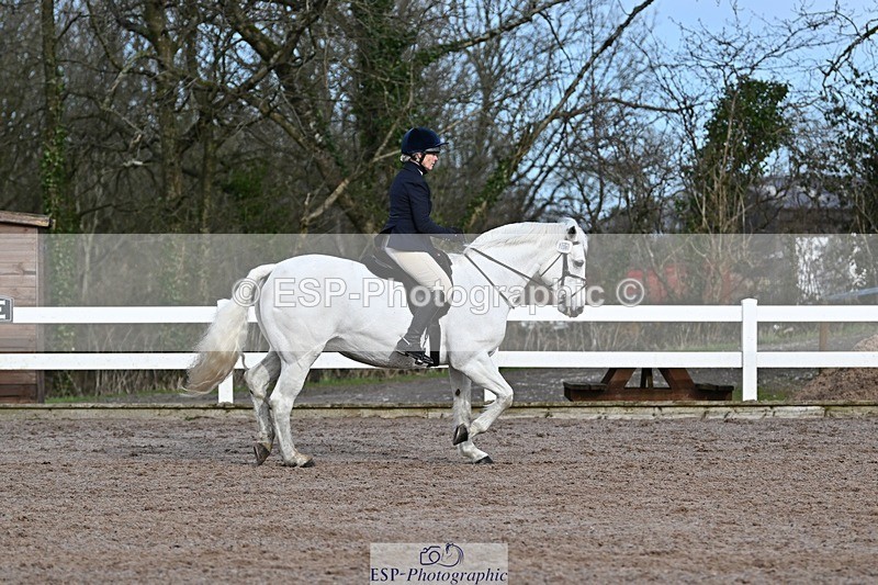 250125-112625-00353 - Dressage - CT Class 5 BE95 (90cm)
