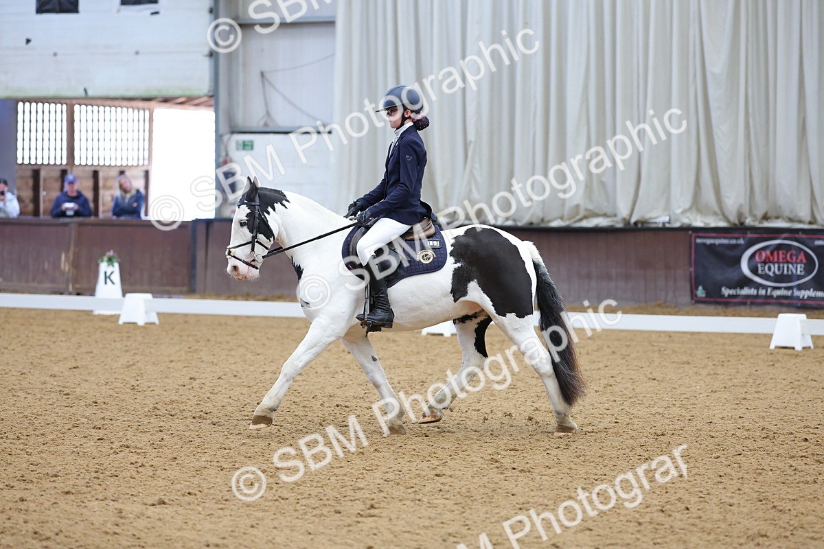 SBM_003081 - Novice