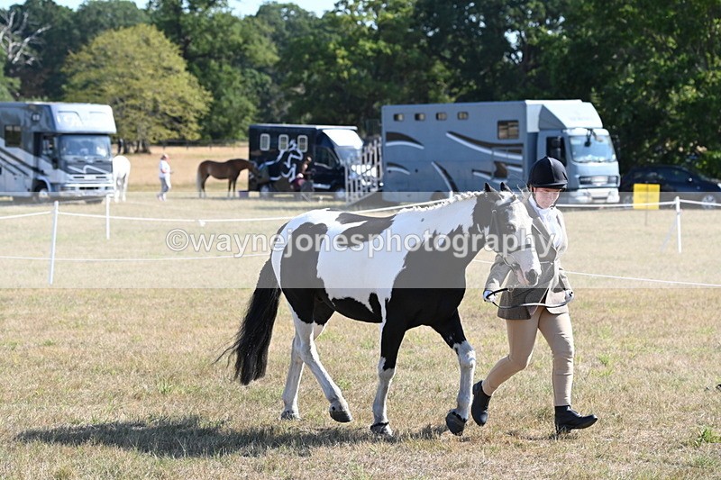 WJ6_7229 - Class 33 Rescue Pony