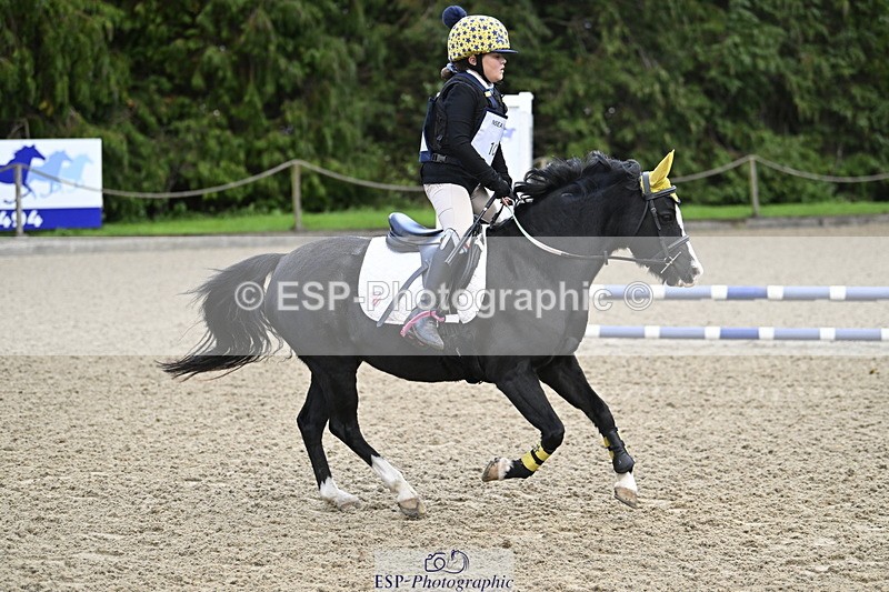 251005A-082250-02764 - Cls 01 GR 40cm