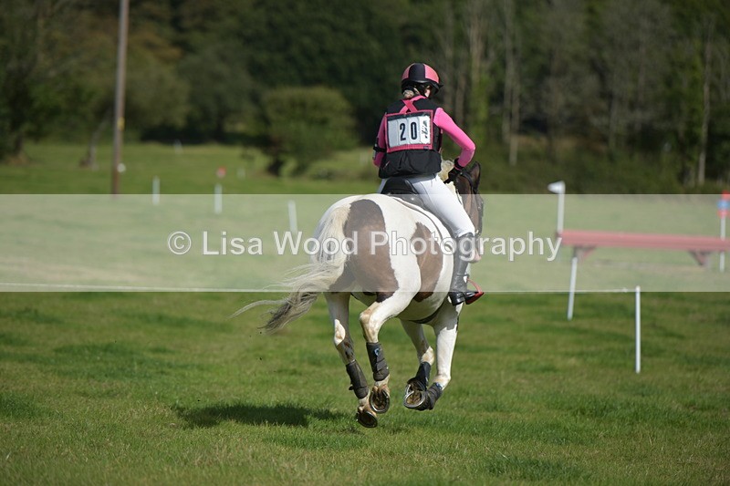 RAY_8640 - Class 2: Trekenning Open: Wall