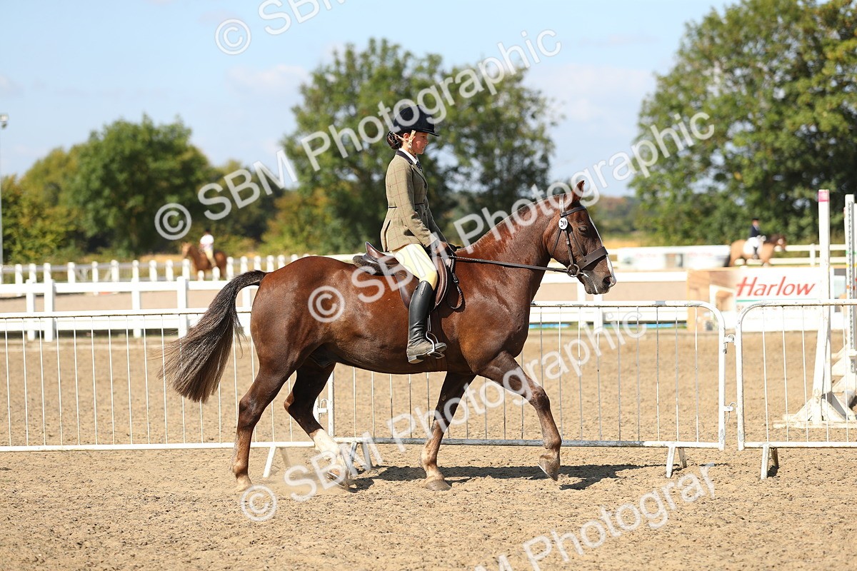 SBM_03115 - Class 44 Riding Club Horse/ Pony