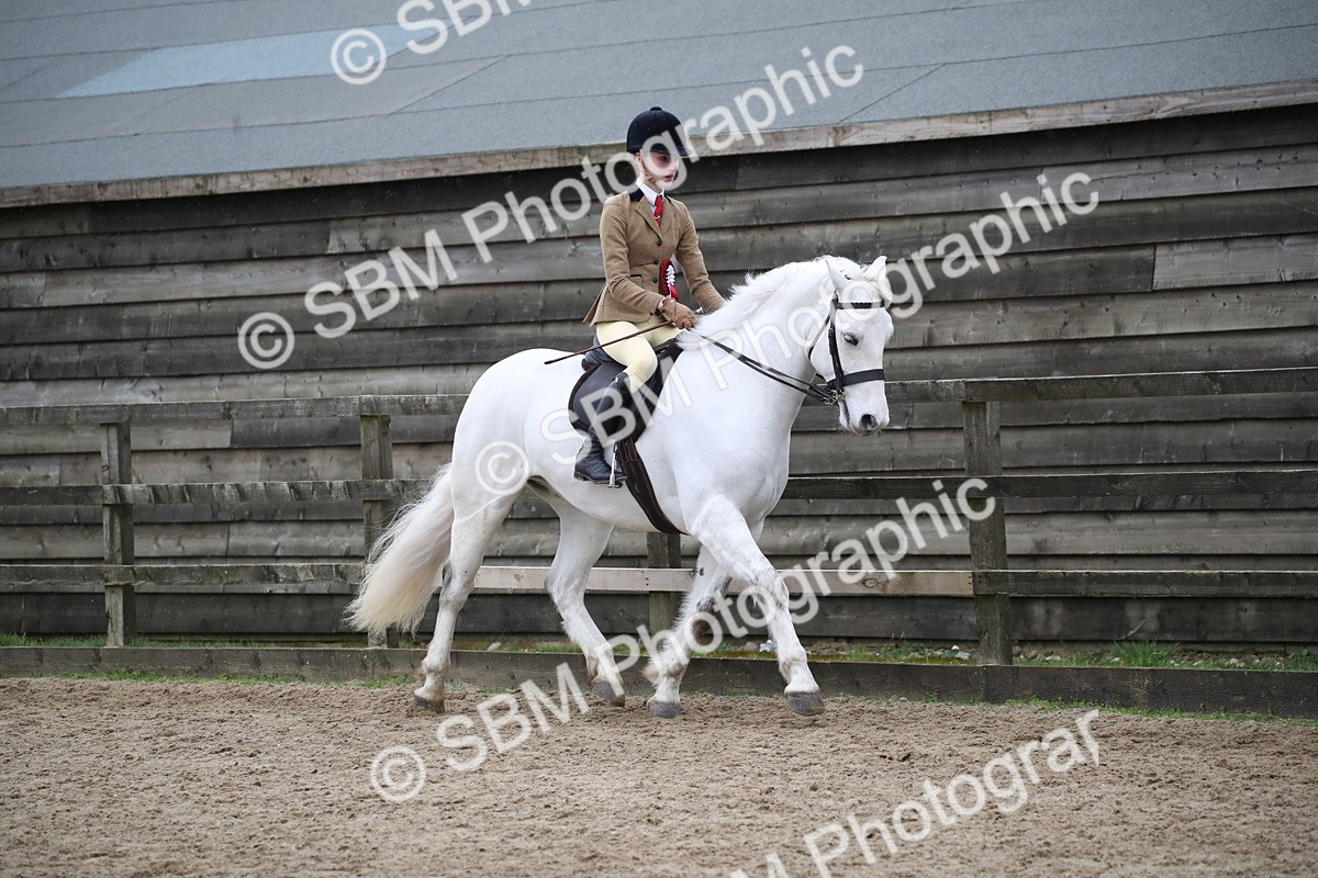 SBM_007317 - Class 10-13 - RIHS Small Large Breeds