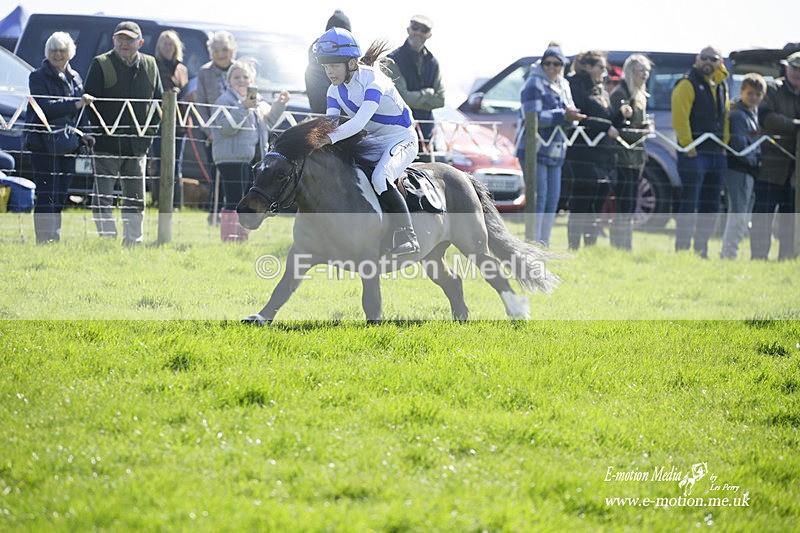 PtP 190322 76 - Wilton Hunt PtP Milborne St Andrew 19/03/22