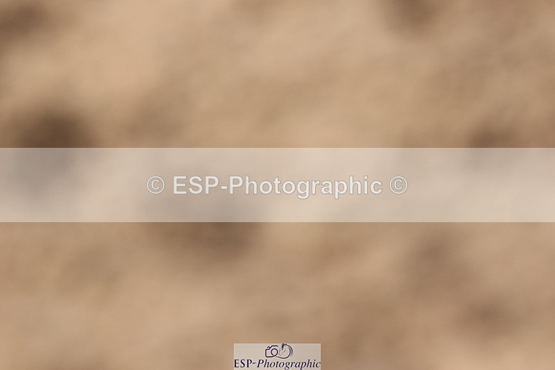 240706A-160536-04338 - Cls 9 RT Novice 27