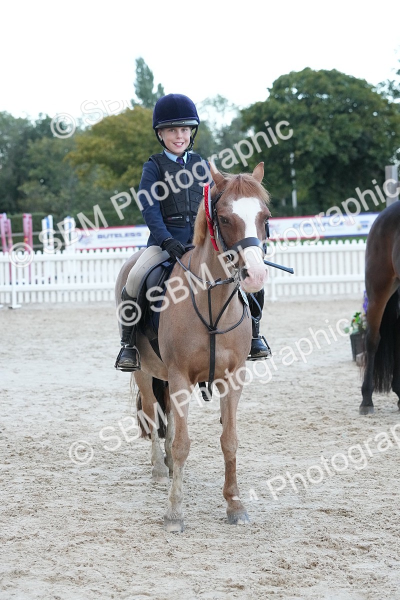 SBM_54254 - Supreme Championship 60cm 65cm