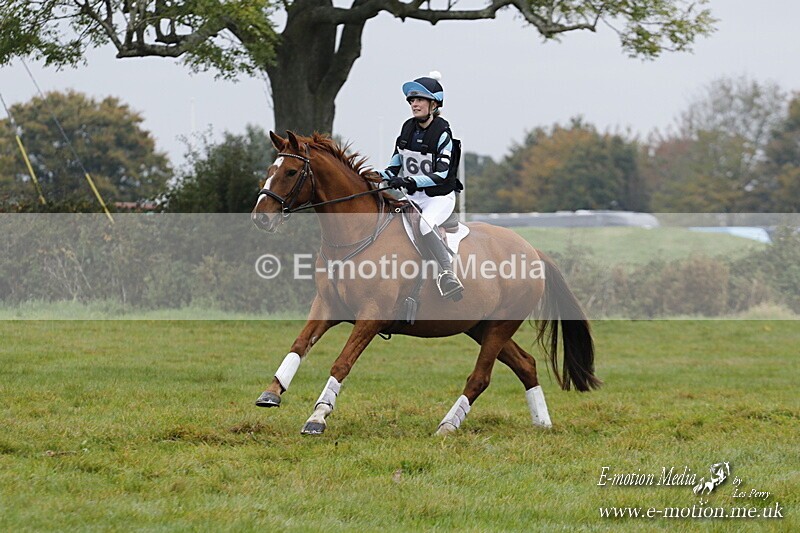 WWHT 181020 WWHT 181020 394 - WWEC Open Novice (0.80m) 18/10/20