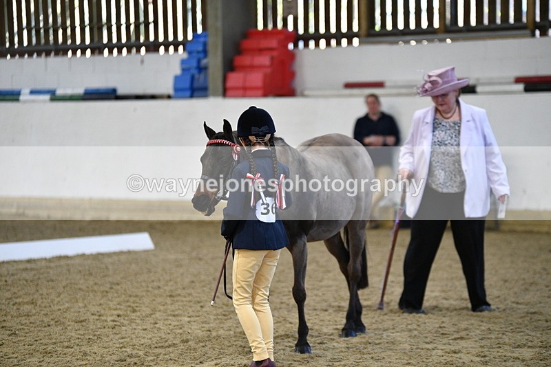 WJ5_3575 - Class 5 In Hand Veterans