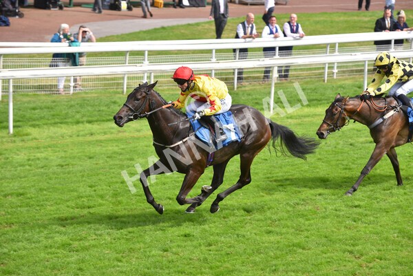 yr10072021r4-15 - Race 4: 3.30pm John Smith's Nursery Stakes