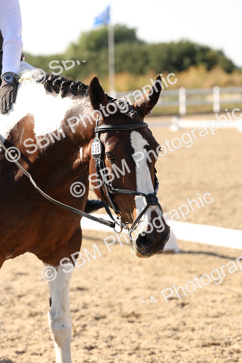 SBM_007013 - Prelim 4 - 15.56-17.51