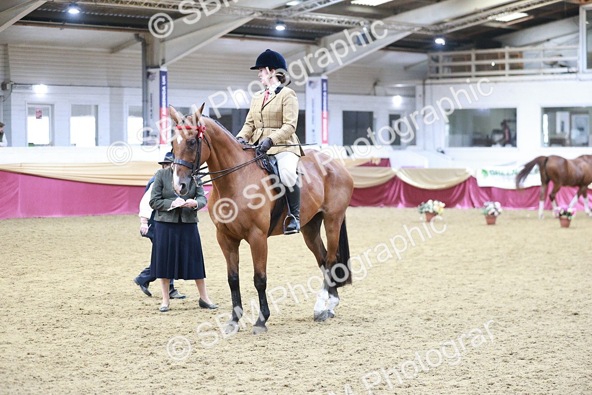 SBM_08172 - Class 11R - Regional Ridden Veteran