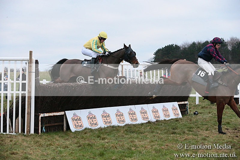 PtP 060119 583 - Larkhill Racing Club - Point-to-Point- 06/01/2019